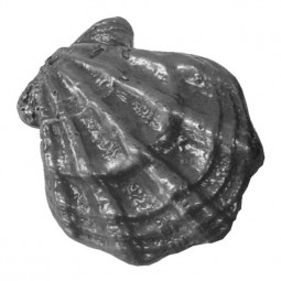 Камень чугунный для бани "Ракушка малая"  КЧР-3